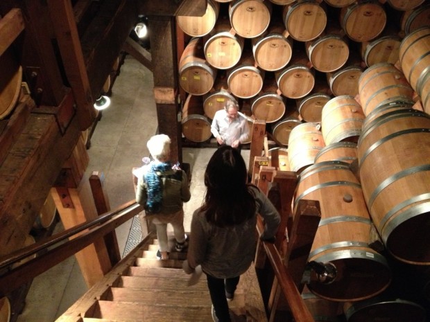 Going into the 1880s limestone caves of Monte Bello