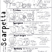 The Scarpetta Wine Portfolio, A Drawing (w a little pig)