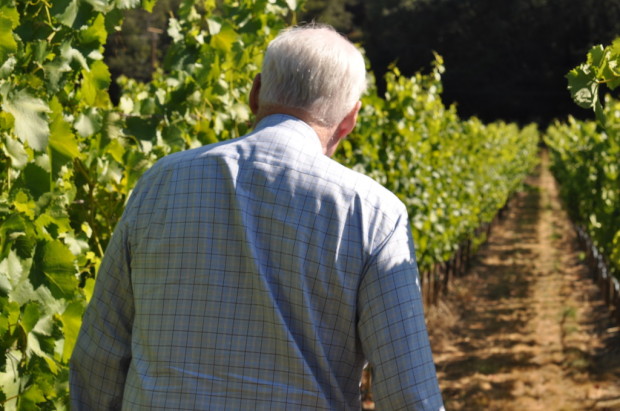George Vare in his Ribolla Gialla Vineyard