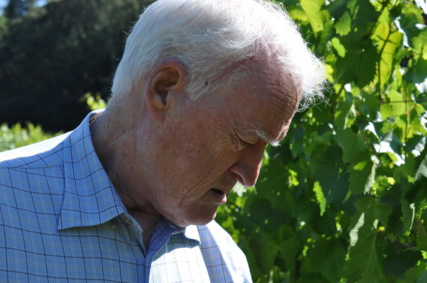 George Vare in his Ribolla Gialla vineyard, July 2012