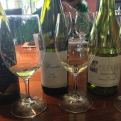 Tasting South Australia: 11 Wines of the Region