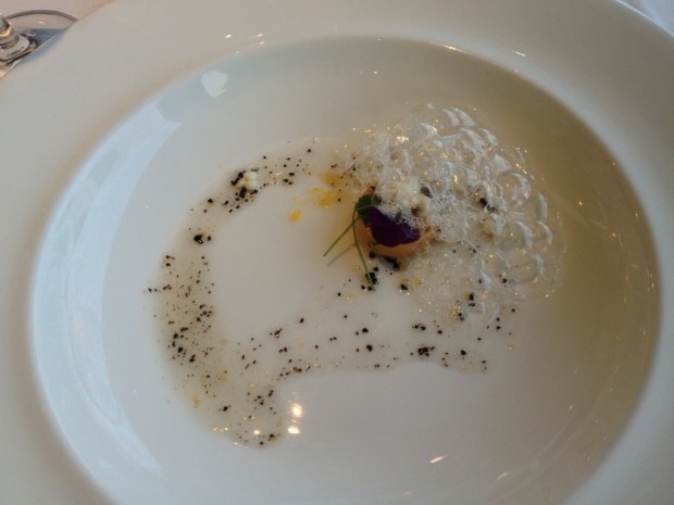 Opening Course