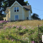 Raising Big Table Farm: Photos from a Visit