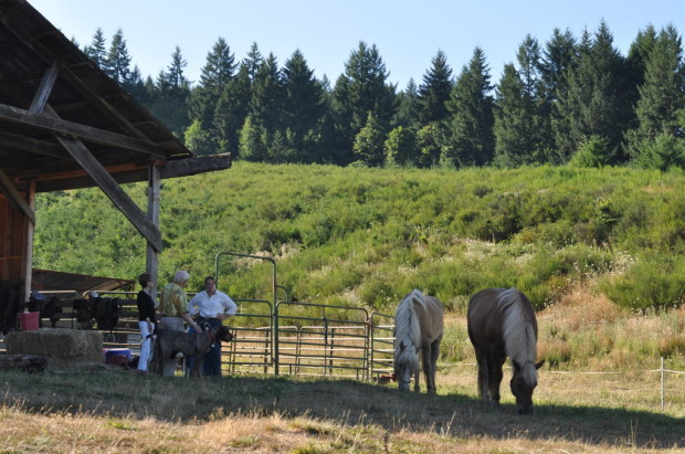 Clare with the Prince and Princess of Pinot and her two workhorses