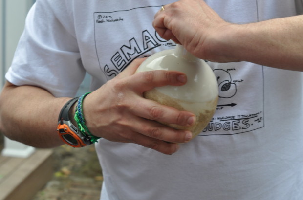 Opening the egg