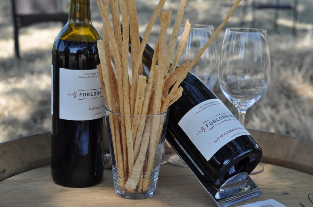 Forlorn Hope side-by-side Barbera