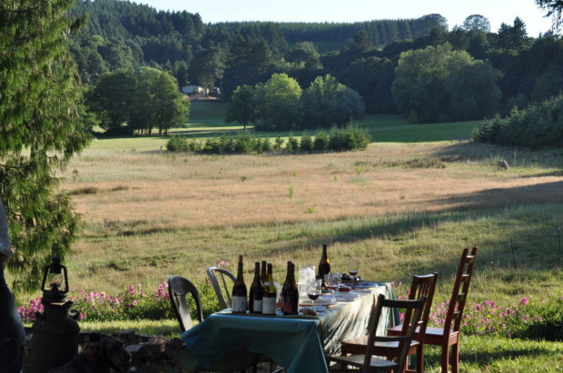 Looking out across the farm