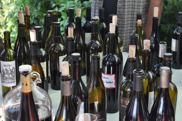 Shake Ridge Wines