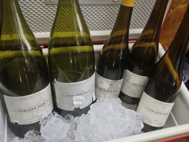 5 vintage vertical Forlorn Hope Nacre
