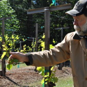 A Life in Wine: Stu and Charles Smith, Smith-Madrone