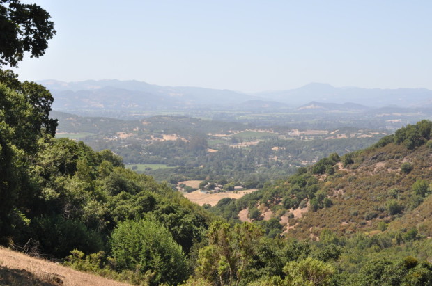 Driving down from 1300 ft, looking over Coombsville