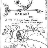 A Gift of Mt Ararat: Zorah's 2011 Karasi Areni Noir