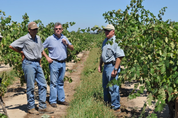 Marian's Block, Mohr-Fry Ranch, 1901 Zinfandel, Bruce, Stuart, Jerry