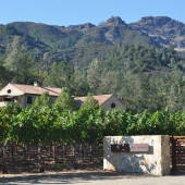 Visiting Kelly Fleming Vineyards + Winery: Simmons Canyon, Calistoga