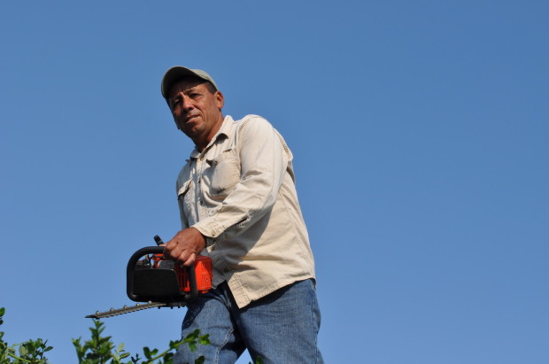 Julio Deras, Vineyard Manager