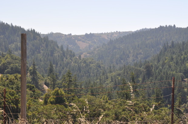 looking through the ridges of Fort Ross-Seaview AVA
