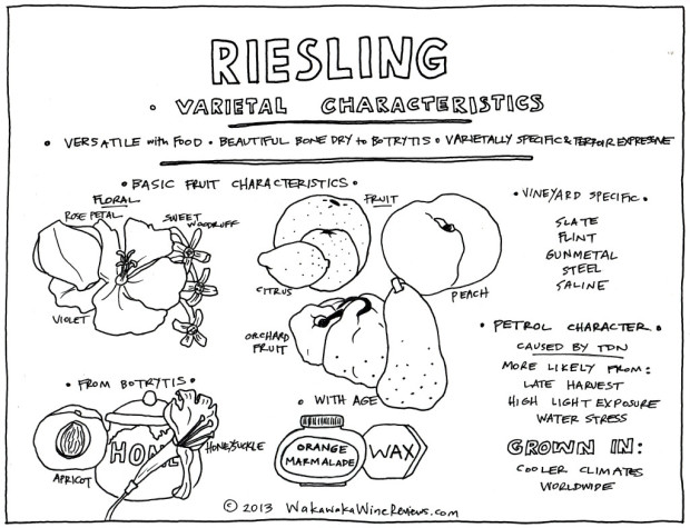 Riesling Characteristics