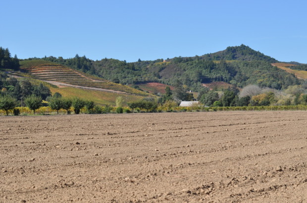 Rotating crops