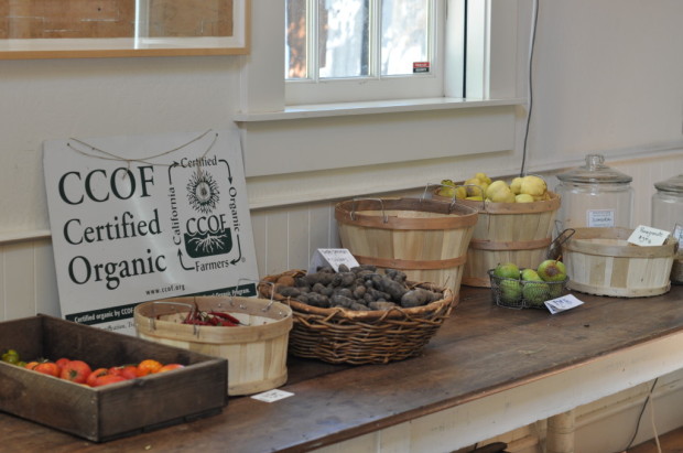 The Preston Farm Store