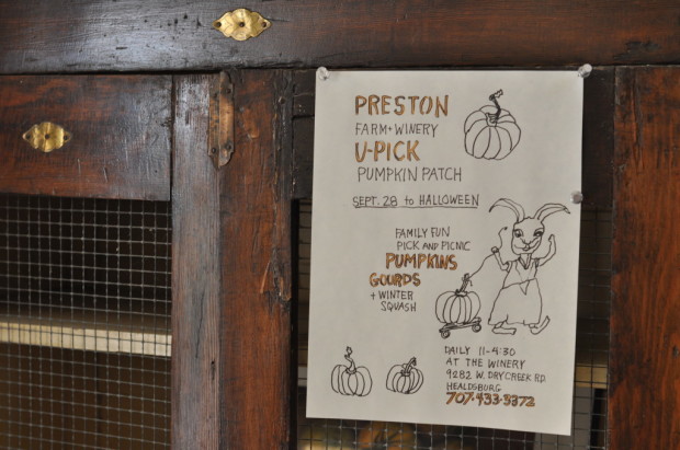 Preston Community Activities