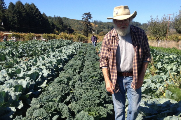 Lou in the cabbage and kale