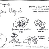 The Eyrie 2000 Marguerite Pinot Noir: Wine to be grateful for