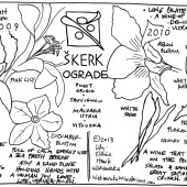 The Quiet Persistence of Skerk Wines