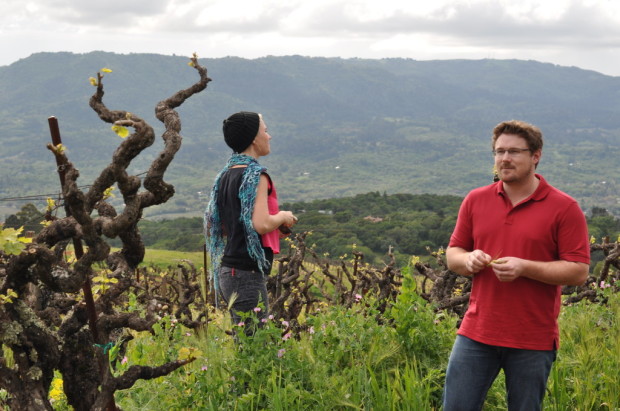 Old Vines with Morgan Twain Peterson and Carla Rzewszewski