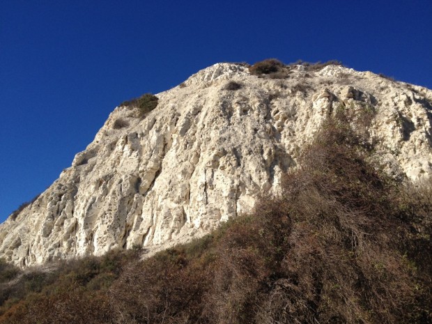 A Glimpse of Sta Rita Hills: Climbing the Mountain w Sashi Moorman
