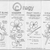 A Taste of Nagy Wines