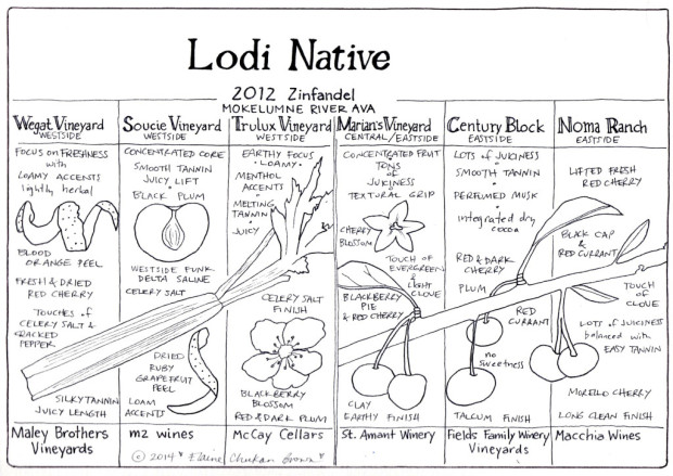 Lodi Native Zinfandel 2012