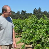 A Morning with Mike Officer, Carlisle Vineyards
