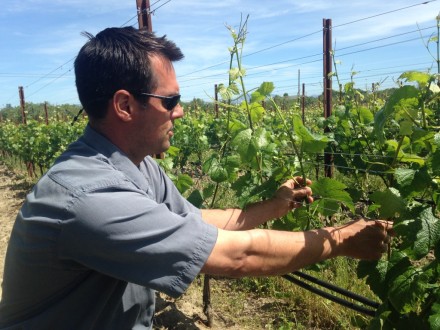 Paul Sloan shoot positioning Barlow Homestead Pinot